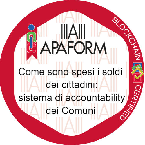 Come sono spesi i soldi dei cittadini:  sistema di accountability dei Comuni